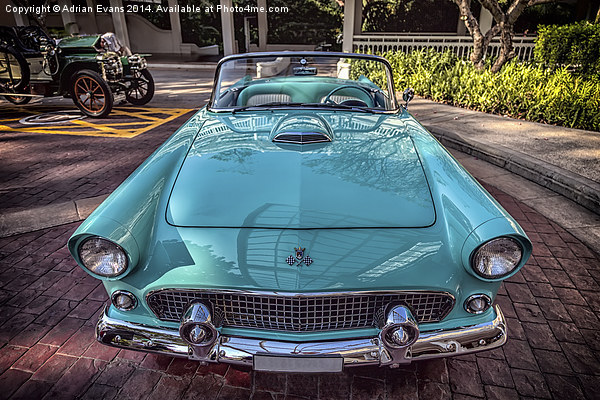 Ford Thunderbird Picture Board by Adrian Evans
