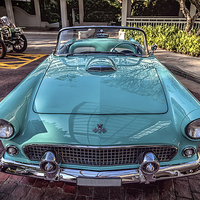 Buy canvas prints of Ford Thunderbird by Adrian Evans