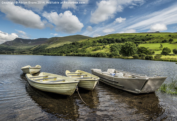 Nantlle Uchaf Boats Wales Picture Board by Adrian Evans