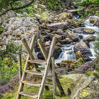 Buy canvas prints of Waterfall Entrance Snowdonia  by Adrian Evans
