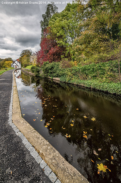 Canal Path Llangollen Picture Board by Adrian Evans