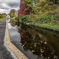 Buy canvas prints of Canal Path Llangollen by Adrian Evans