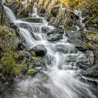 Buy canvas prints of Autumn River Ogwen Valley  by Adrian Evans