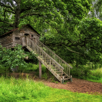 Buy canvas prints of The Treehouse by Adrian Evans