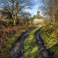 Buy canvas prints of Old Cottage by Adrian Evans