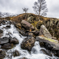 Buy canvas prints of Winter Rapids v2 by Adrian Evans