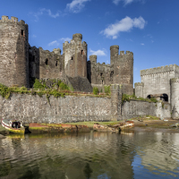 Buy canvas prints of Conwy Castle Wales by Adrian Evans