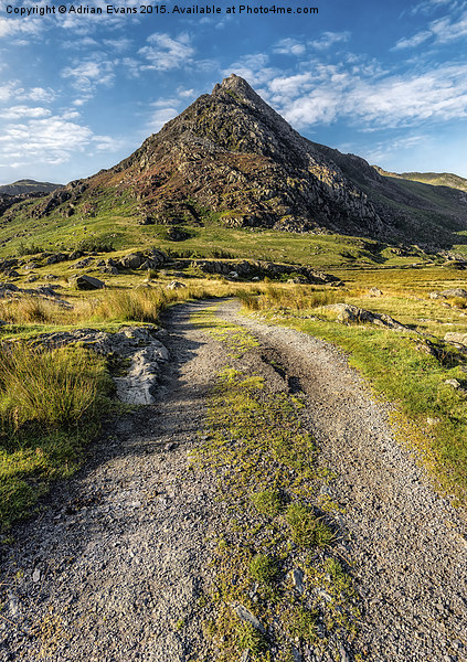 Tryfan Mountain Track  Picture Board by Adrian Evans