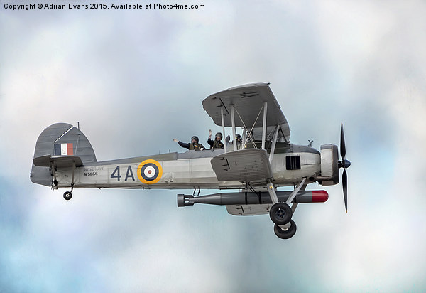 The Fairey Swordfish Biplane Picture Board by Adrian Evans