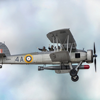 Buy canvas prints of The Fairey Swordfish Biplane by Adrian Evans