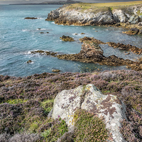 Buy canvas prints of Rhoscolyn Head Anglesey by Adrian Evans
