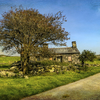 Buy canvas prints of Cottage Ruin by Adrian Evans