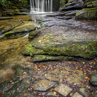 Buy canvas prints of Woodland Waterfall by Adrian Evans