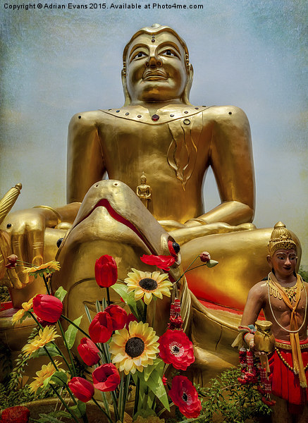 Golden Buddha  Picture Board by Adrian Evans