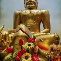 Buy canvas prints of Golden Buddha  by Adrian Evans