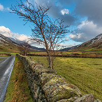 Buy canvas prints of Road Less Travelled by Adrian Evans
