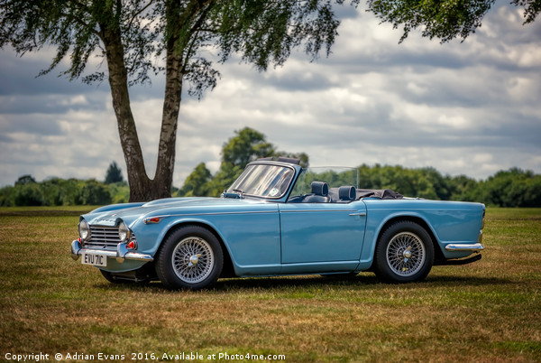 Triumph TR4A 1965 Picture Board by Adrian Evans
