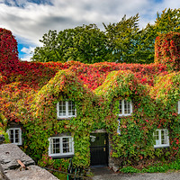 Buy canvas prints of Autumn Tea House by Adrian Evans