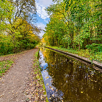 Buy canvas prints of Llangollen Canal Autumn Reflection by Adrian Evans