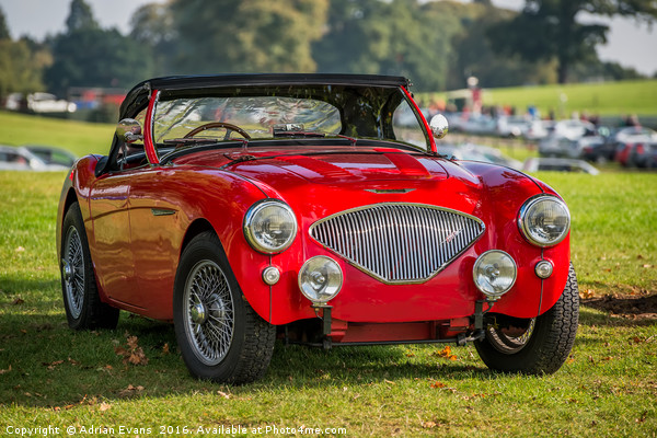 Austin Healey 100 Picture Board by Adrian Evans