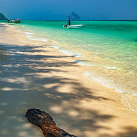 Buy canvas prints of Driftwood On The Thai Beach by Adrian Evans