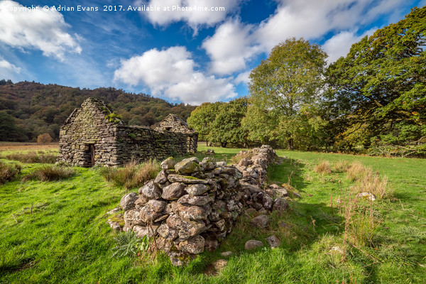 Welsh Cottage Ruin Picture Board by Adrian Evans