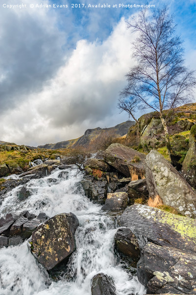 Winter Rapids of Snowdonia Picture Board by Adrian Evans
