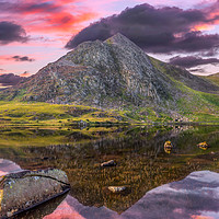 Buy canvas prints of Tryfan Mountain Sunset by Adrian Evans