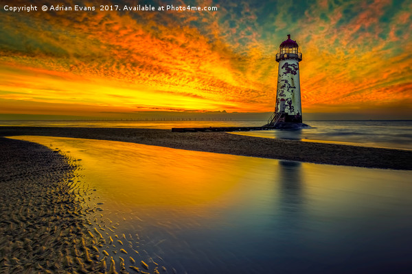 Evening Delight Talacre Lighthouse Picture Board by Adrian Evans