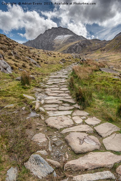 Footpath To Tryfan Mountain Wales Picture Board by Adrian Evans