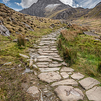 Buy canvas prints of Footpath To Tryfan Mountain Wales by Adrian Evans