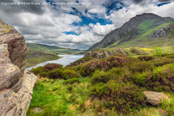 Tryfan And Ogwen Lake Picture Board by Adrian Evans