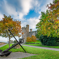 Buy canvas prints of Conwy Castle Autumn by Adrian Evans
