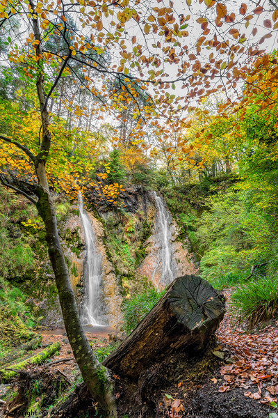 Grey Mares Tail Waterfall Llanrwst  Picture Board by Adrian Evans