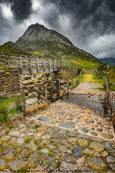 To Tryfan Mountain Snowdonia Picture Board by Adrian Evans