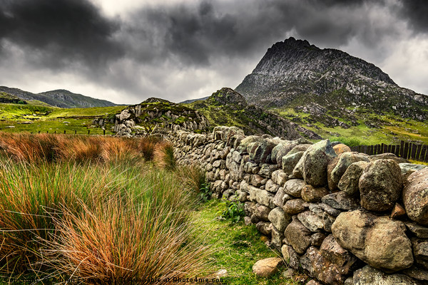 Tryfan Mountain East Face Wales Picture Board by Adrian Evans