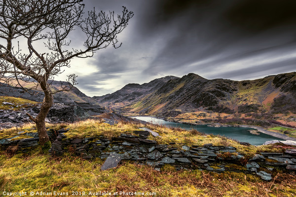 Peris Lake Snowdonia Picture Board by Adrian Evans