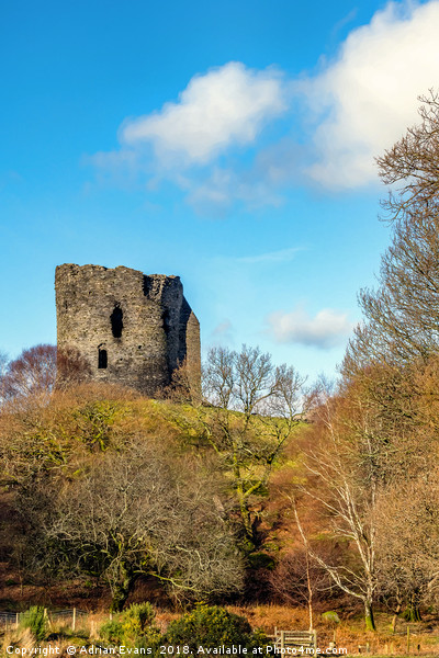Dolbadarn Castle Wales Picture Board by Adrian Evans
