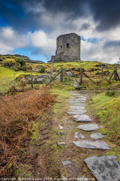 Dolbadarn Castle Llanberis Snowdonia Picture Board by Adrian Evans