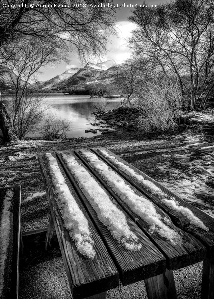Lake Padarn Bench Llanberis Picture Board by Adrian Evans