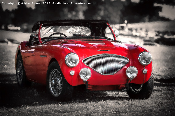 Austin Healey 100 Picture Board by Adrian Evans