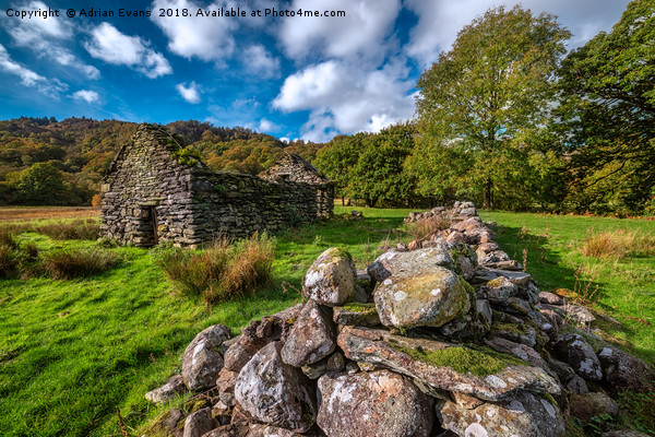 Cottage Ruin Snowdonia Picture Board by Adrian Evans