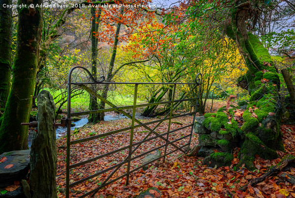 Gate to Autumn Picture Board by Adrian Evans