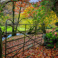 Buy canvas prints of Gate to Autumn by Adrian Evans