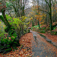Buy canvas prints of Autumn Panorama by Adrian Evans