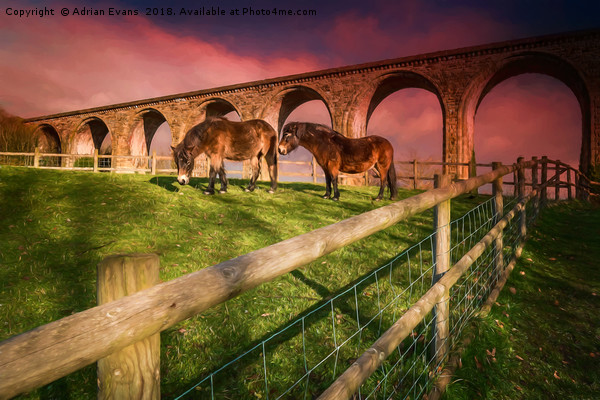 Cefn Viaduct Horses at Sunset Picture Board by Adrian Evans