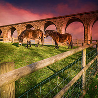 Buy canvas prints of Cefn Viaduct Horses at Sunset by Adrian Evans