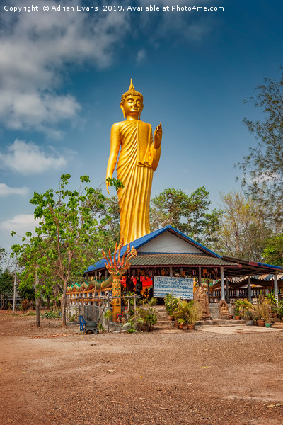 Wat Kham Chanot Golden Buddha Picture Board by Adrian Evans