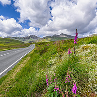 Buy canvas prints of Road To Snowdon Mountain by Adrian Evans