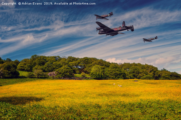 Battle of Britain Memorial Flight  Picture Board by Adrian Evans